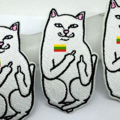 Котики