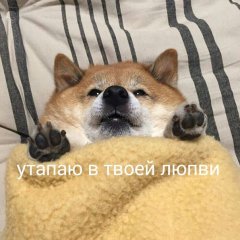 Лублу цилую спокойной ночи димчик