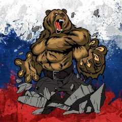 Медвед