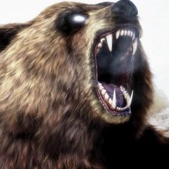 Опасен и зубаст