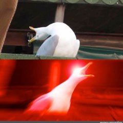 Орущий гусь