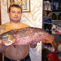Рыба
