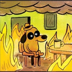This is fine