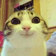 Улыбающийся кот