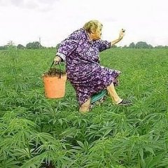 Выходные