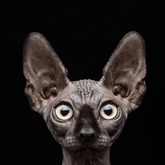 Ййй