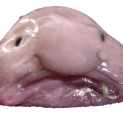 Здравствуйте