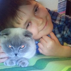 Бесик