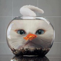 Фокус на важное