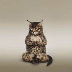 Котэ