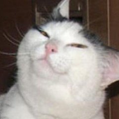 Котико