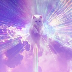 Котобог
