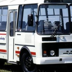 Мемчик в пазике