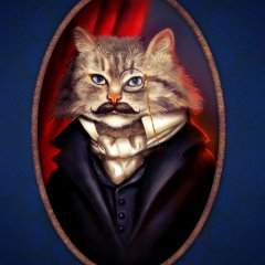 Сэр кот