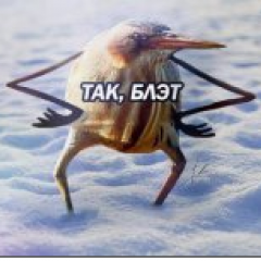 Так блэт повезло