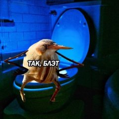 Так Блэт