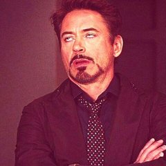 Tony Stark Robert Downey Jr