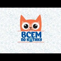 Всем-по-котику