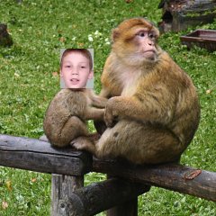 Я сын обезьяны