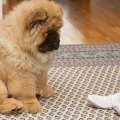 А можно я Вам пожалуюсь