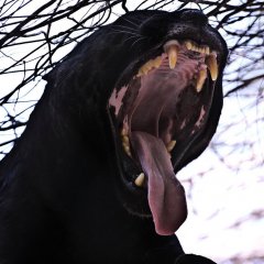Человек должен быть сильнее своих воспоминаний