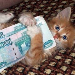 Деньги МОИИИ