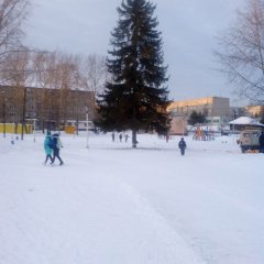 Ель