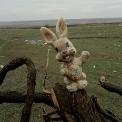 Хроники