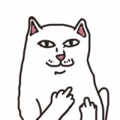 Котик мемик