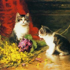 Котята на сене