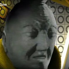 Наедине с ВИДом