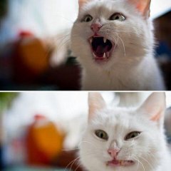Нет