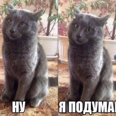 Ну я подумаю