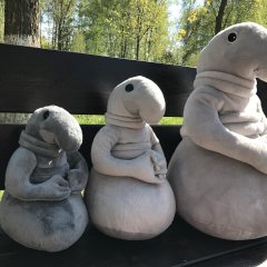 Семья ждунов