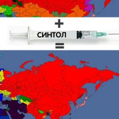 Синтольный союз