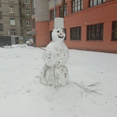 Снеговик01122017