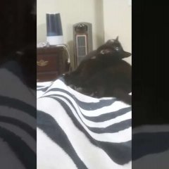 Супер кусь