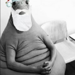 Ждун