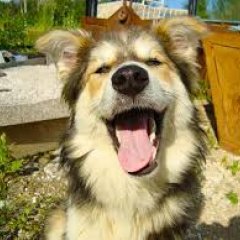 ААААаааа укушу ведь