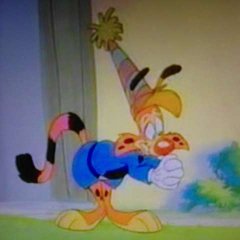Bonkers