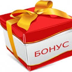 Бонус лучшему из лучших
