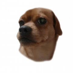 Буся 2