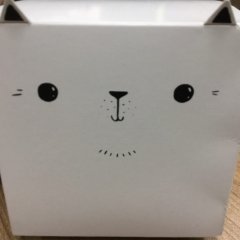 Дратути кот