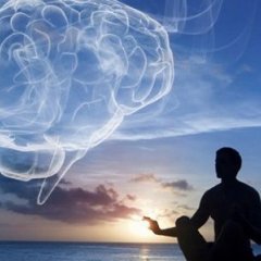 Human mind