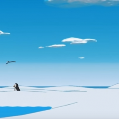 Как звери наперегонки бегали