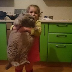 Кала