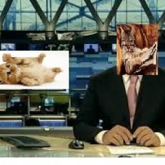 Кошачьи новости