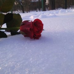 ЛЮБОВЬ