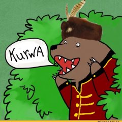 Мишка крепкая шишка
