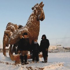Петух
